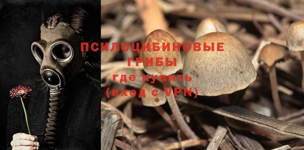 ALPHA PVP Алексин