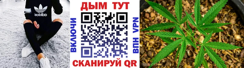 наркотики Волоколамск Канабис марихуана